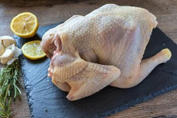 Produktfoto zu Poularde halb ca. 850g