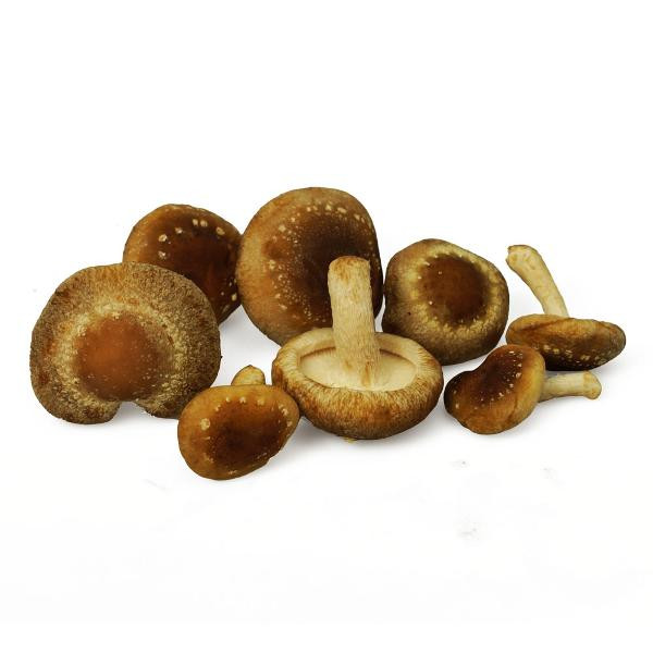 Produktfoto zu Bio-Shiitake