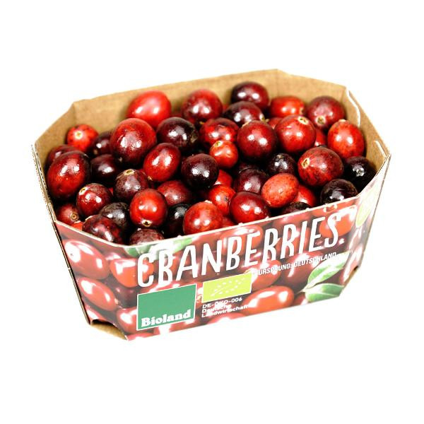 Produktfoto zu Cranberries frisch 125g