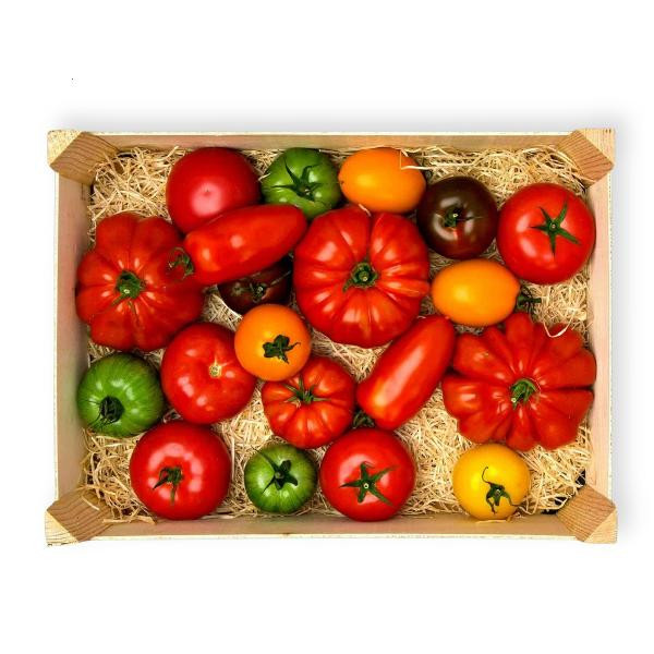 Produktfoto zu Bio-Tomatenmix 1 kg