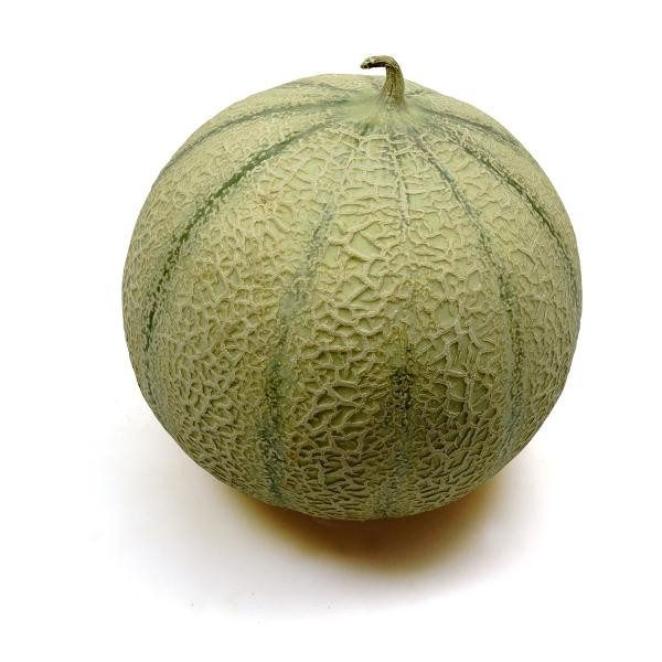 Produktfoto zu Bio-Melone Charentais