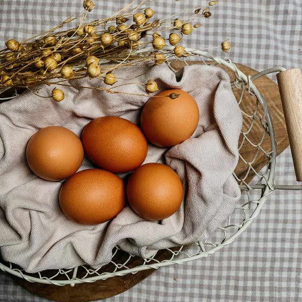 Produktfoto zu 6 Eier M demeter