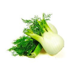 Produktfoto zu Bio-Fenchel